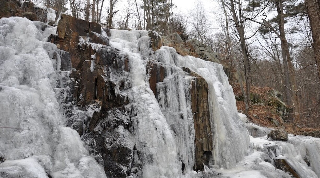 I was out running once and heard a pretty powerful rushing water sound off in the woods, so I investigated. These falls are 20+ feet high! The flow wholly depends on rainfall and snowmelt, and in the winter they completely freeze over (as you can see). A very awesome and unexpected find tucked away in a less-traveled section of the Fells.
