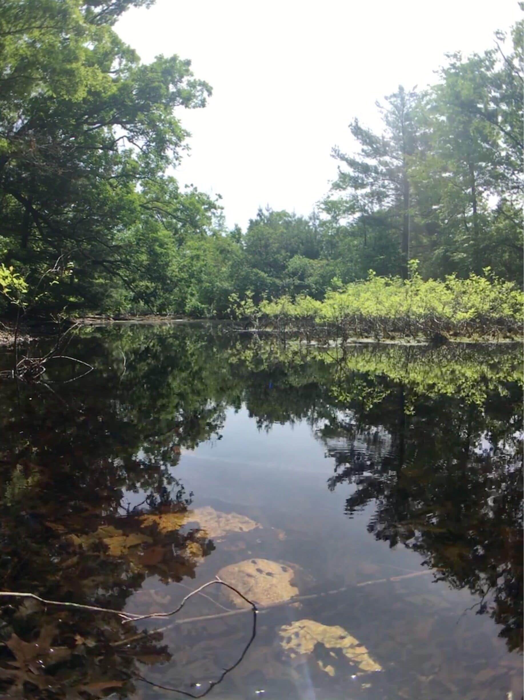 Silent place for hiking, kind of meditation for me... PEACEFUL MIND!

#hiking