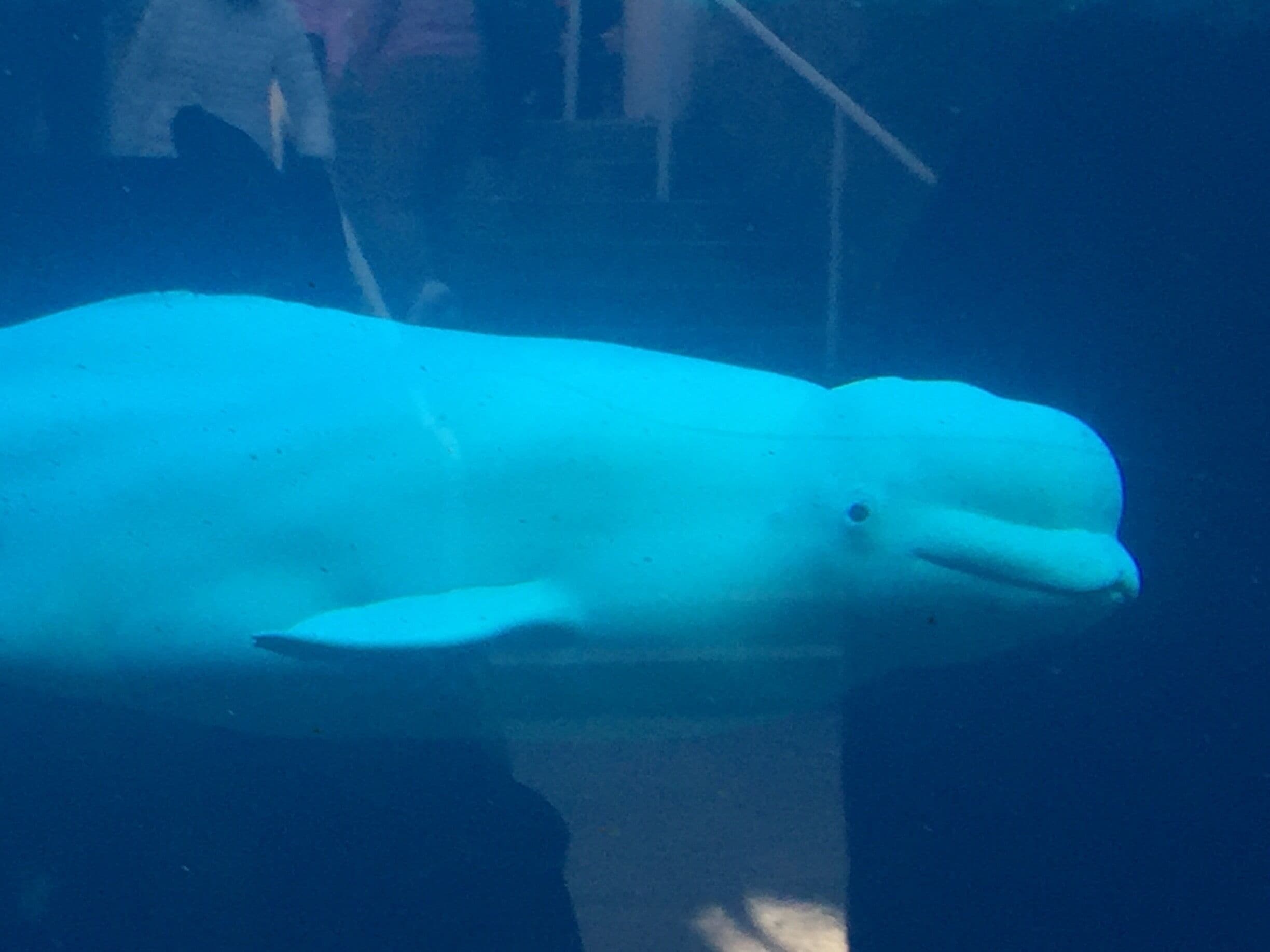 Cool animal encounters to be had here. 