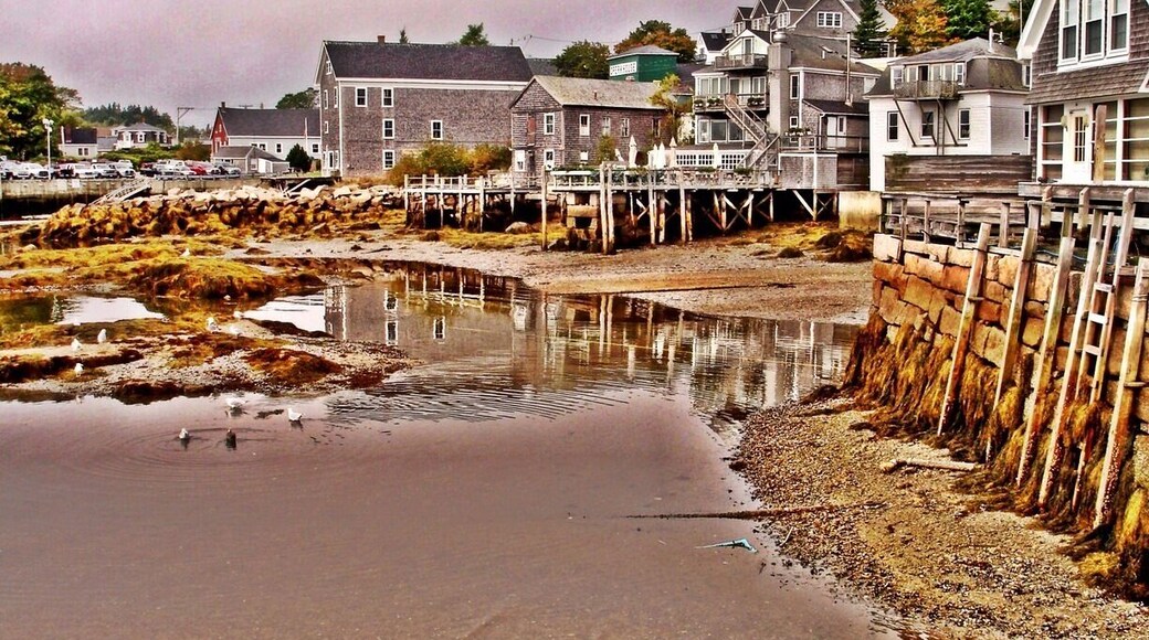 Water front properties in #Stonington #DeerIsle #Maine #ocean #tide