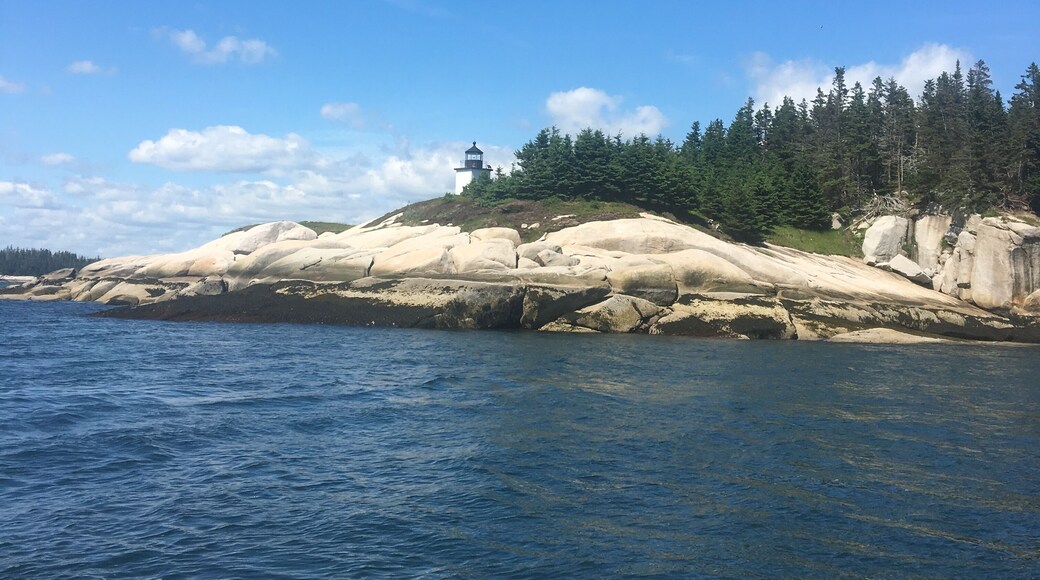 Out on a lobster boat tour in the bay