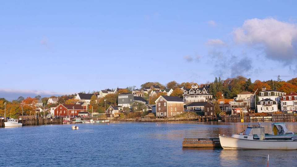 A harbor with boats, a waterfront town, and autumn-colored trees.