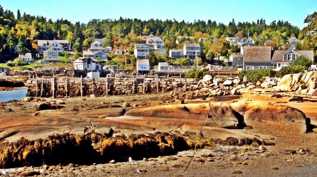 Stonington, Maine on Deer Isle's tides change so dramatically, something we don't see in Hawaii.