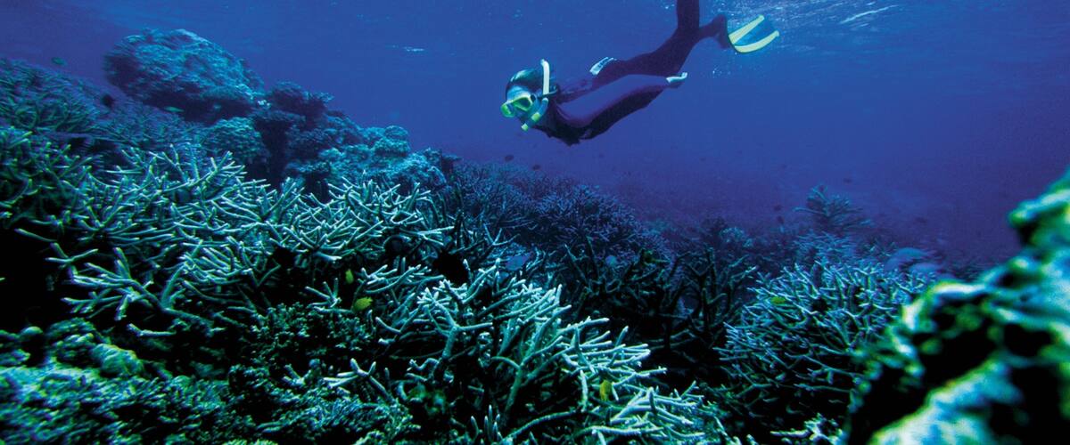 Solomon Islands which includes snorkelling and colourful reefs as well as an individual female