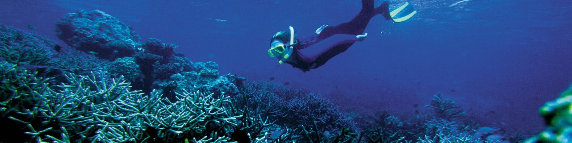 Solomon Islands which includes snorkelling and colourful reefs as well as an individual female