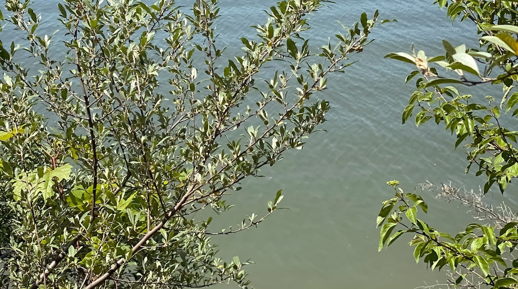 View of Thousand Hills State Park, Missouri