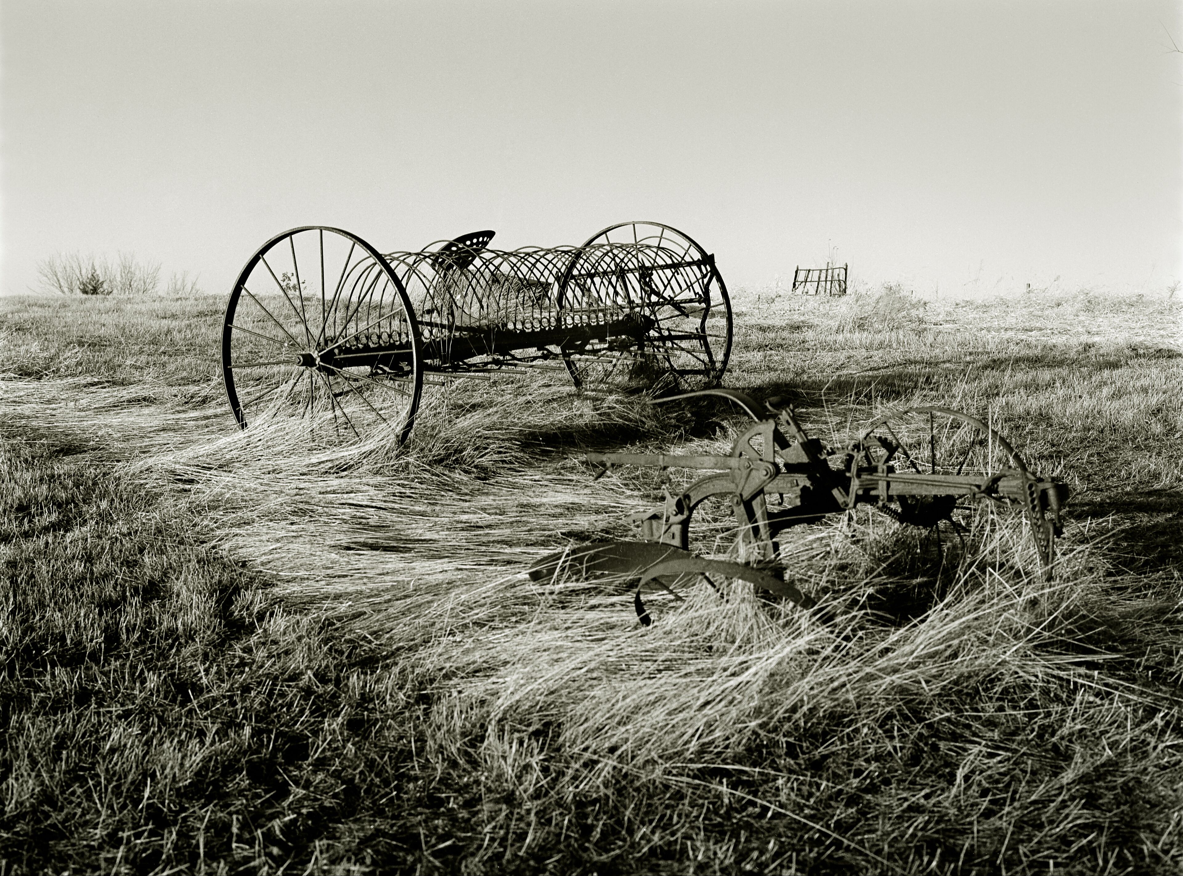 Sulky Rake. A sepia toned black and white image of an antique horse drawn Sulky type hay rake sitting in a field of fallen tall grass. Near Kirksville, Missouri USA, 1977.