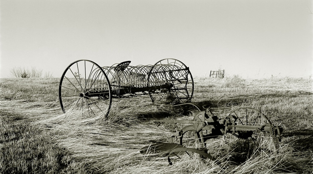 A vintage tractor and a wireframe structure in a grassy field.