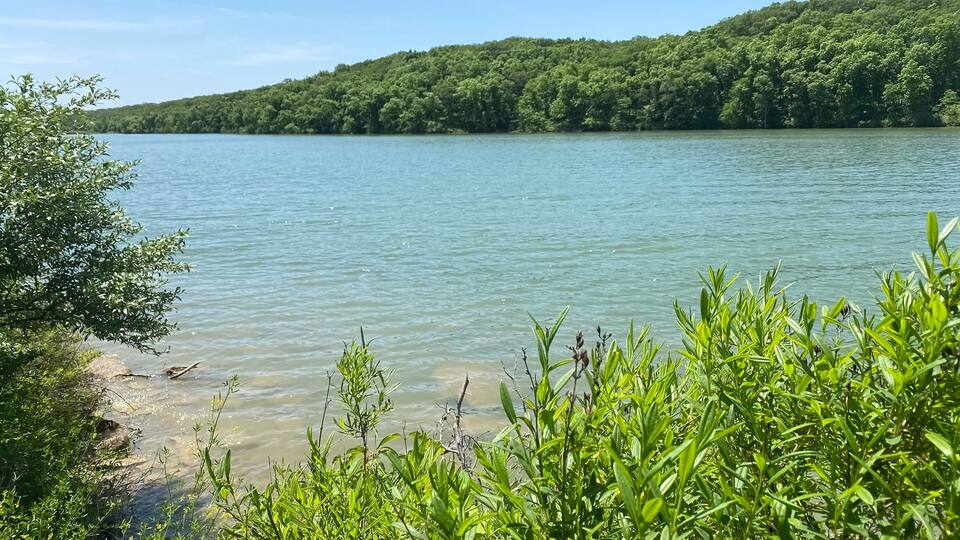 A calm lake surrounded by dense green forest and hills.