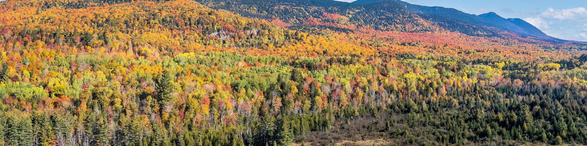 Autumn at Jones Pond - Carrabassett Valley - Maine - Bigelow Preserve Peak
