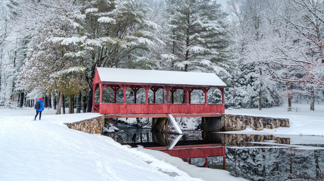 Hiker walking in Stratton state park in the snow