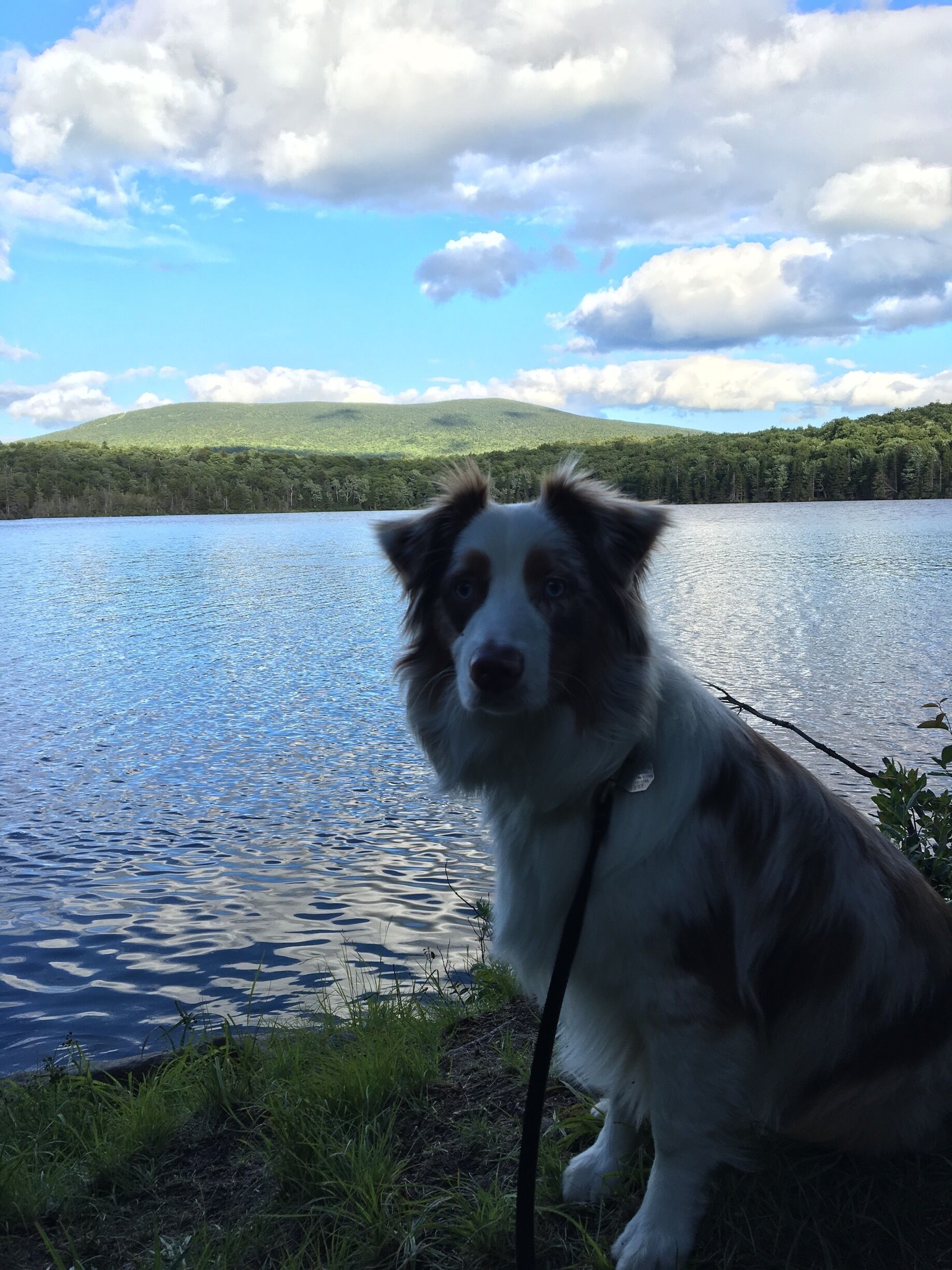 Stratton Pond 
#oxfordthemini