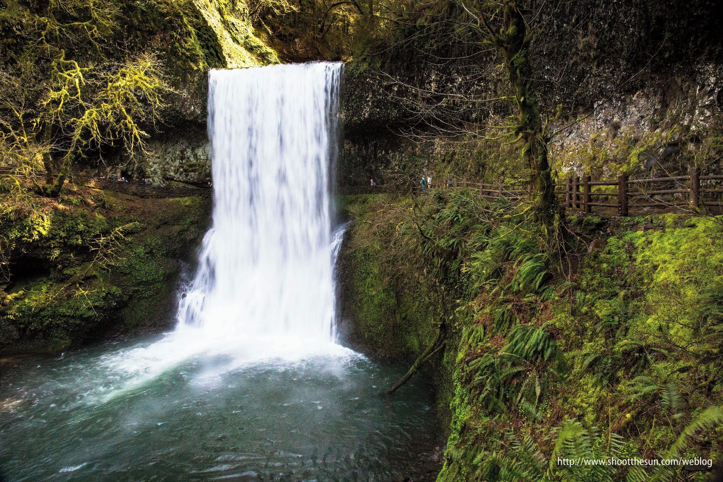Only a lunatic would wander every mile of the trail at Silver Falls State Park and stop at each of its ten majestic cascades and clip a few hundred photos of each, adding a couple of extra hours to what would normally be a four-hour trip.

Well, fortunately, my friends, I am such a lunatic.  Er... Well, for good or bad, I have some photos of each of the ten waterfalls at Silver Falls Park.

This is Lower South Falls.  At 93 ft (28m) in height, it clocks in at just over half the size of the tallest falls in the park.  But it's a beaut.

As you can see from this photo, the trail to the falls actually leads behind them and out the other side.  This is true of many of the waterfalls in the park.