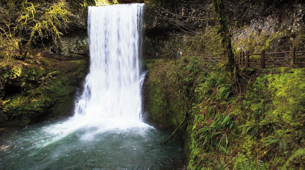 Only a lunatic would wander every mile of the trail at Silver Falls State Park and stop at each of its ten majestic cascades and clip a few hundred photos of each, adding a couple of extra hours to what would normally be a four-hour trip.
Well, fortunately, my friends, I am such a lunatic. Er... Well, for good or bad, I have some photos of each of the ten waterfalls at Silver Falls Park.
This is Lower South Falls. At 93 ft (28m) in height, it clocks in at just over half the size of the tallest falls in the park. But it's a beaut.
As you can see from this photo, the trail to the falls actually leads behind them and out the other side. This is true of many of the waterfalls in the park.