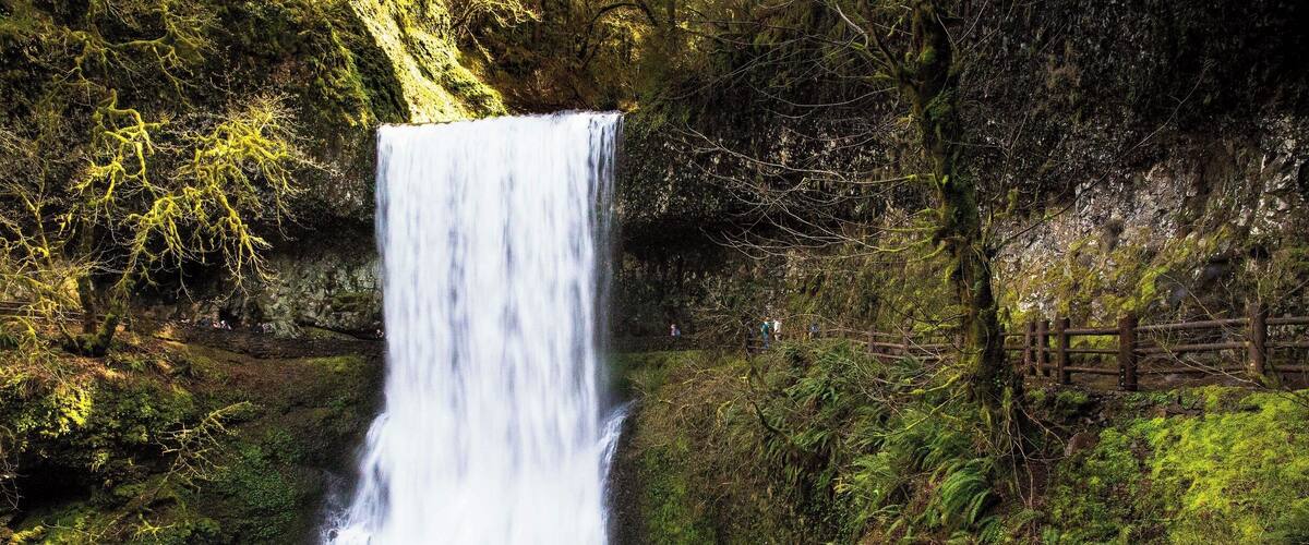 Only a lunatic would wander every mile of the trail at Silver Falls State Park and stop at each of its ten majestic cascades and clip a few hundred photos of each, adding a couple of extra hours to what would normally be a four-hour trip.
Well, fortunately, my friends, I am such a lunatic.  Er... Well, for good or bad, I have some photos of each of the ten waterfalls at Silver Falls Park.
This is Lower South Falls.  At 93 ft (28m) in height, it clocks in at just over half the size of the tallest falls in the park.  But it's a beaut.
As you can see from this photo, the trail to the falls actually leads behind them and out the other side.  This is true of many of the waterfalls in the park.