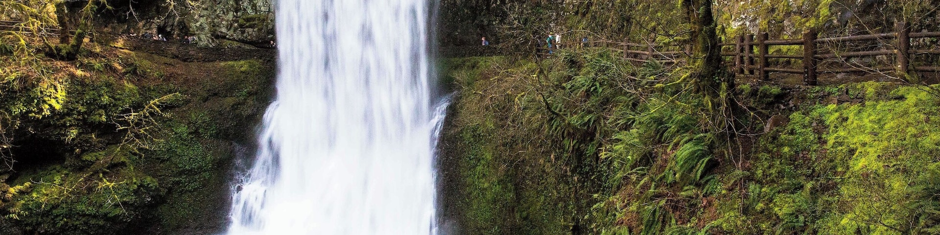 Only a lunatic would wander every mile of the trail at Silver Falls State Park and stop at each of its ten majestic cascades and clip a few hundred photos of each, adding a couple of extra hours to what would normally be a four-hour trip.
Well, fortunately, my friends, I am such a lunatic.  Er... Well, for good or bad, I have some photos of each of the ten waterfalls at Silver Falls Park.
This is Lower South Falls.  At 93 ft (28m) in height, it clocks in at just over half the size of the tallest falls in the park.  But it's a beaut.
As you can see from this photo, the trail to the falls actually leads behind them and out the other side.  This is true of many of the waterfalls in the park.