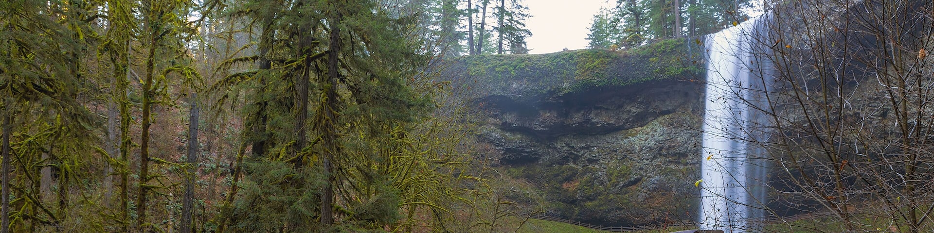 Wood Bridge at Silver Falls State Park in Oregon USA America