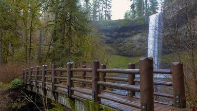 Wood Bridge at Silver Falls State Park in Oregon USA America
