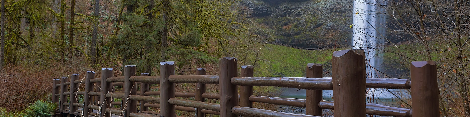 Wood Bridge at Silver Falls State Park in Oregon USA America