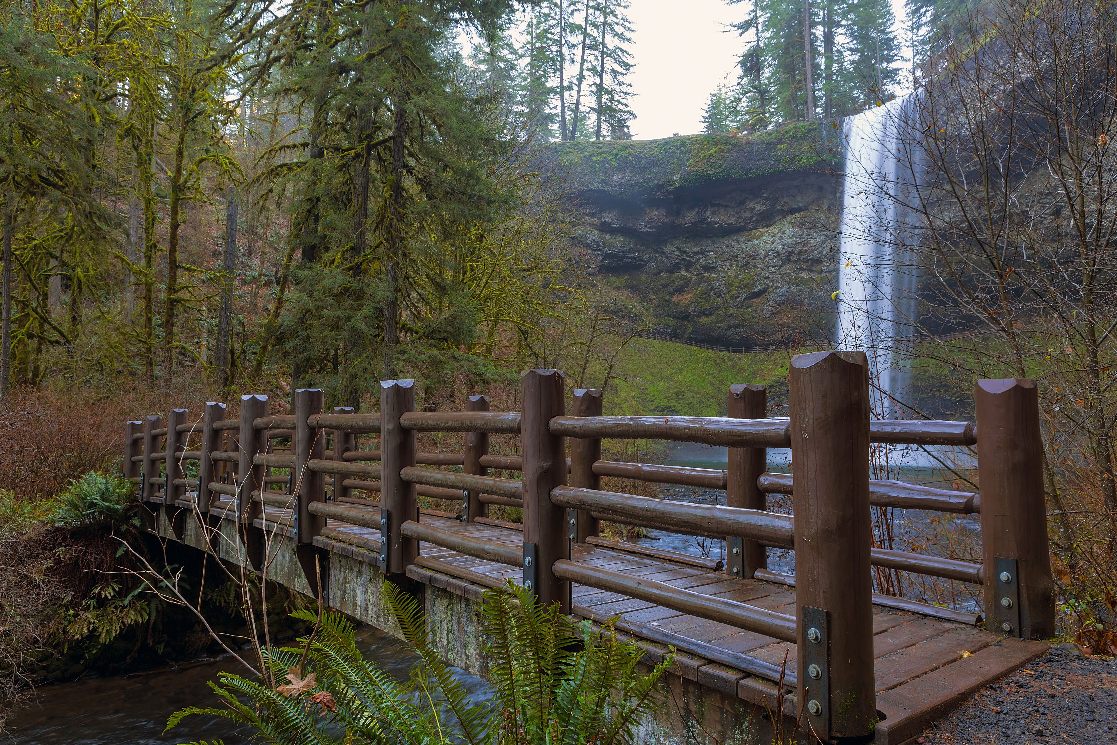 A wooden bridge over a stream in a forested area with a waterfall in the background.