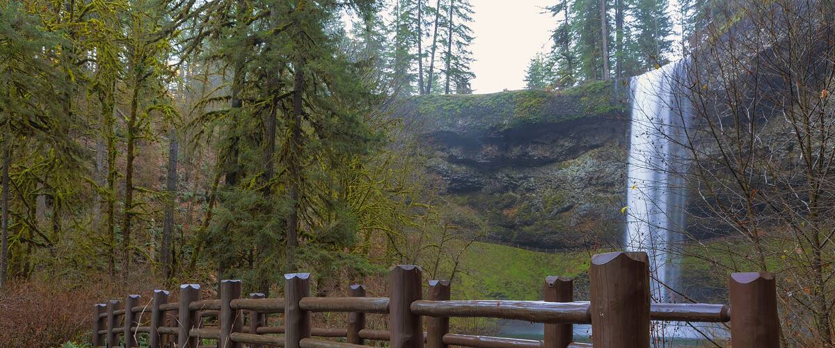 A wooden bridge over a stream in a forested area with a waterfall in the background.