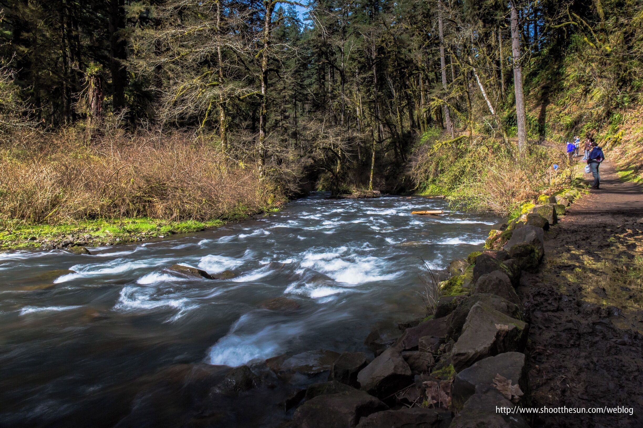 Silver Creek is the fuel, motor and the engine for all the waterfalls in the park.  There are very few spots where the water lies still.  The rest of the time you'll see it churning as it prepares to barrel over a waterfall or makes its way away from one waterfall and onto the next.