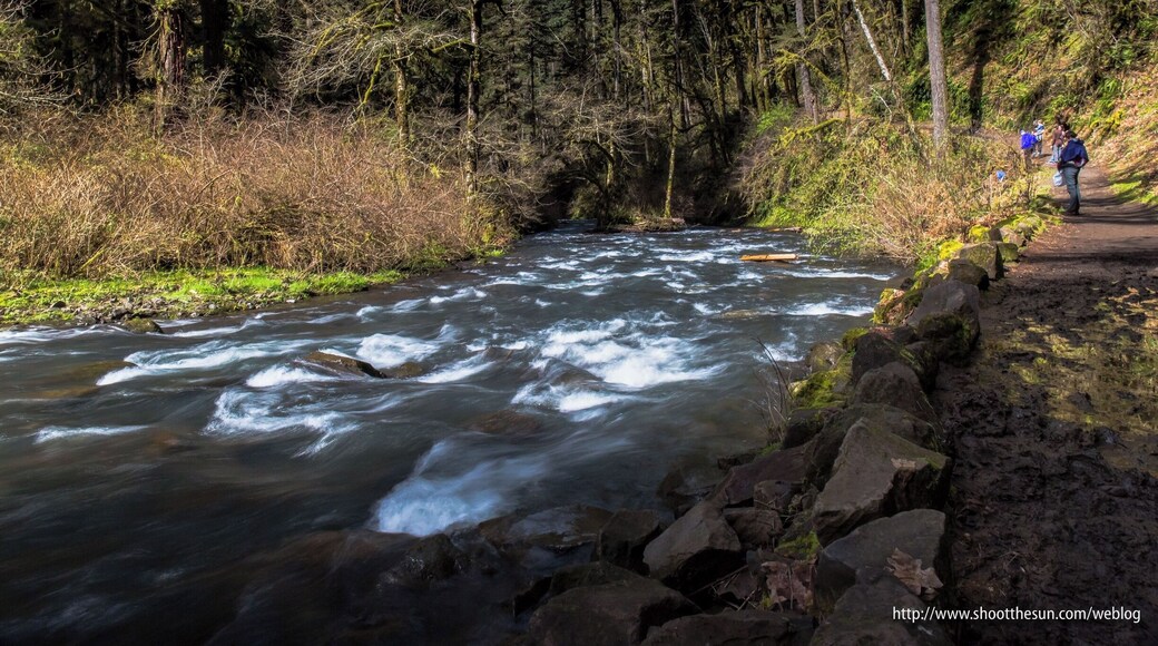 Silver Creek is the fuel, motor and the engine for all the waterfalls in the park. There are very few spots where the water lies still. The rest of the time you'll see it churning as it prepares to barrel over a waterfall or makes its way away from one waterfall and onto the next.