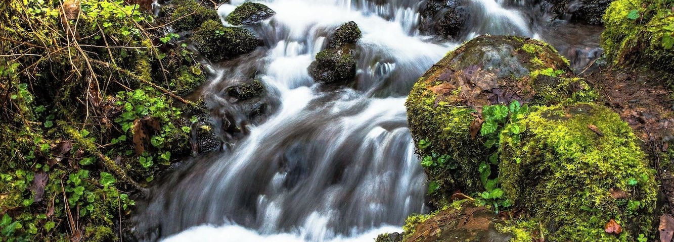 There are dozens of minor waterfalls cascading down the side of the canyon which run below bridges and passageways cut under the trail.