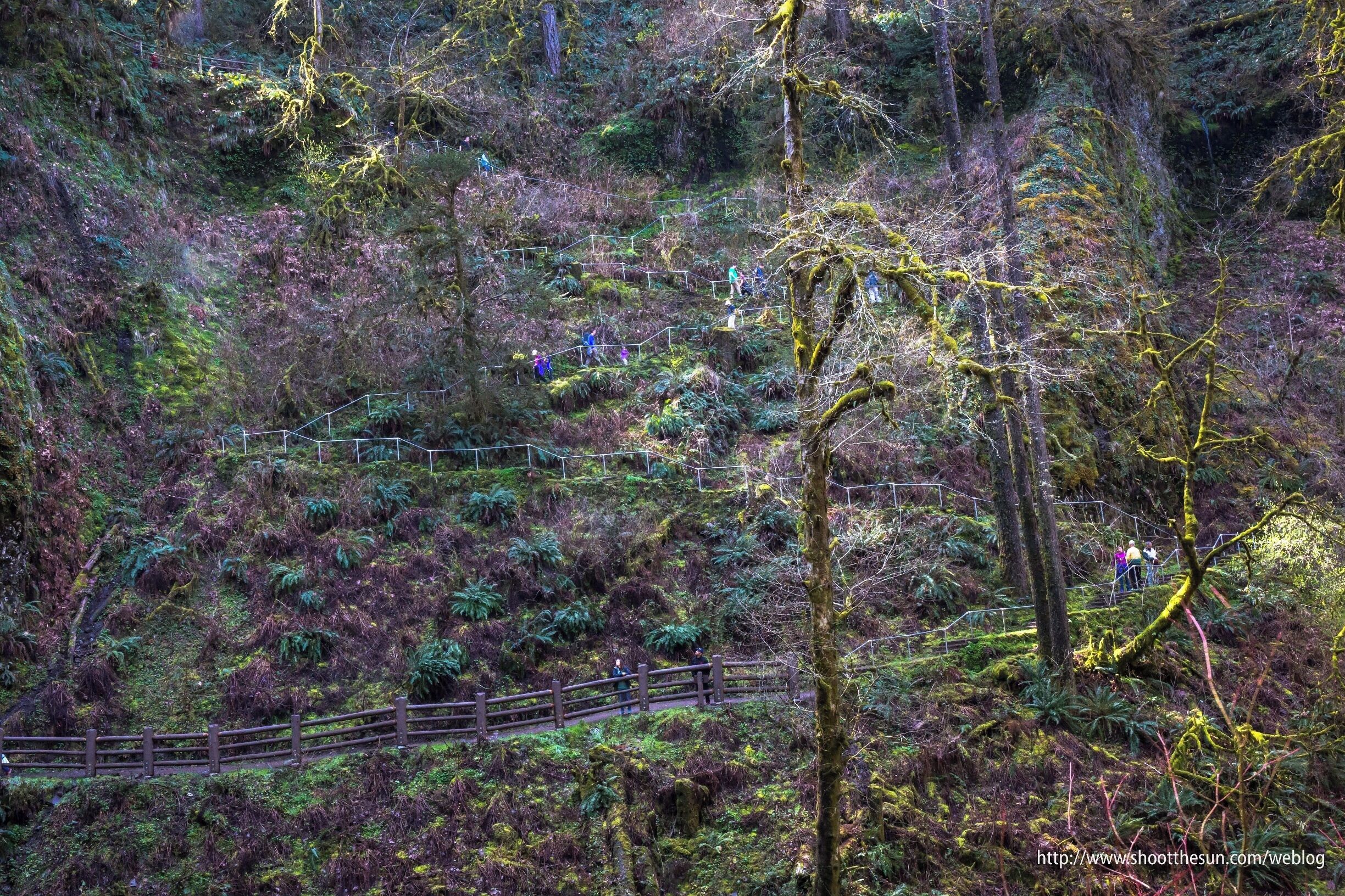 The stairs that snake down to the Lower South Falls, part of the 11-mile Canyon Trail complex that runs through the park.