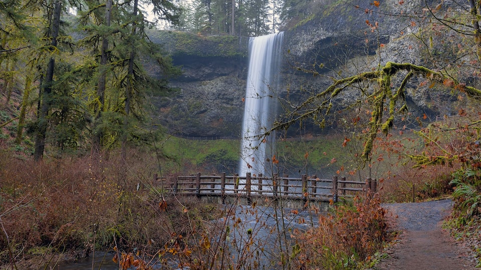 A waterfall in a forested area with a wooden bridge.