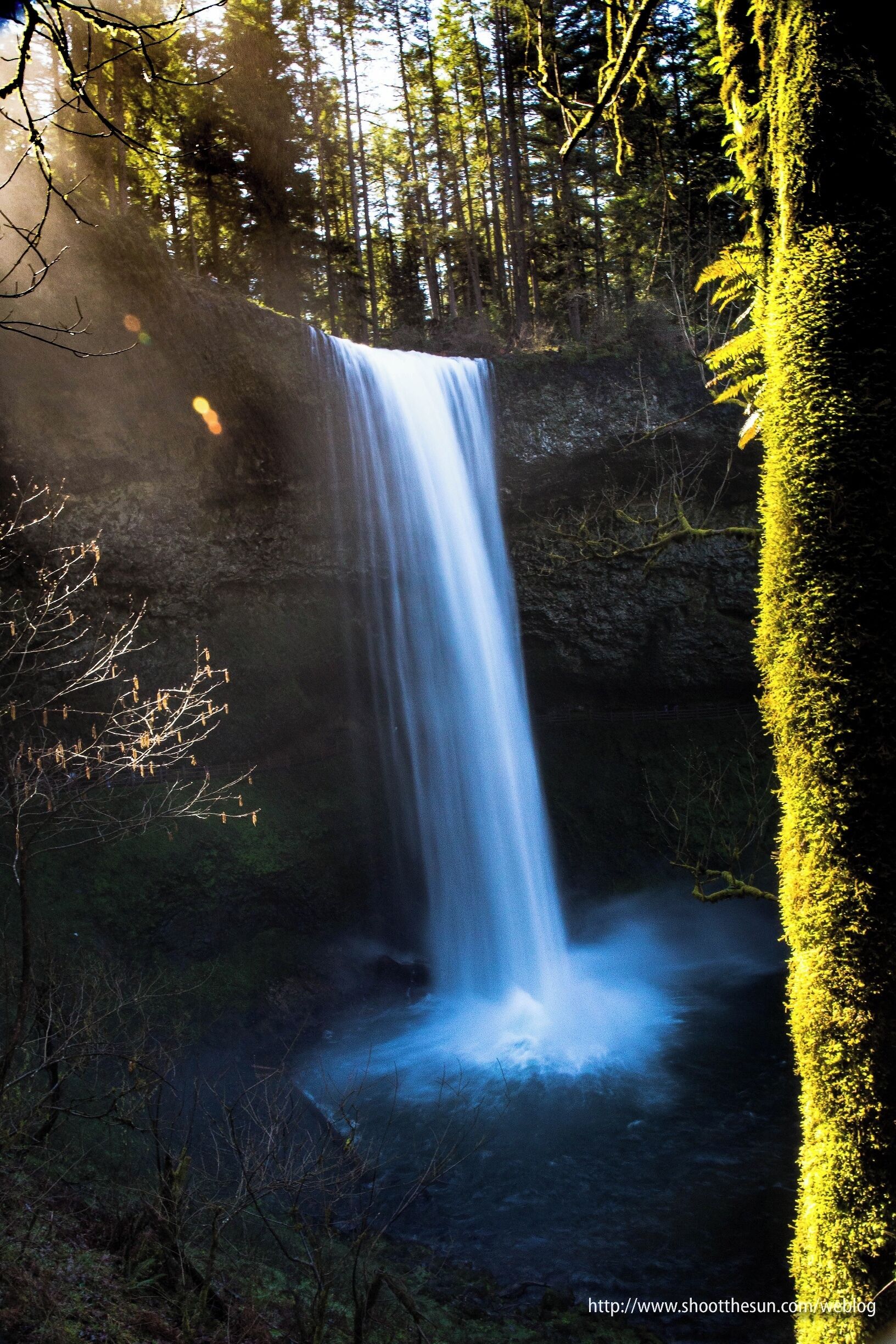 A waterfall surrounded by trees and moss-covered rocks.