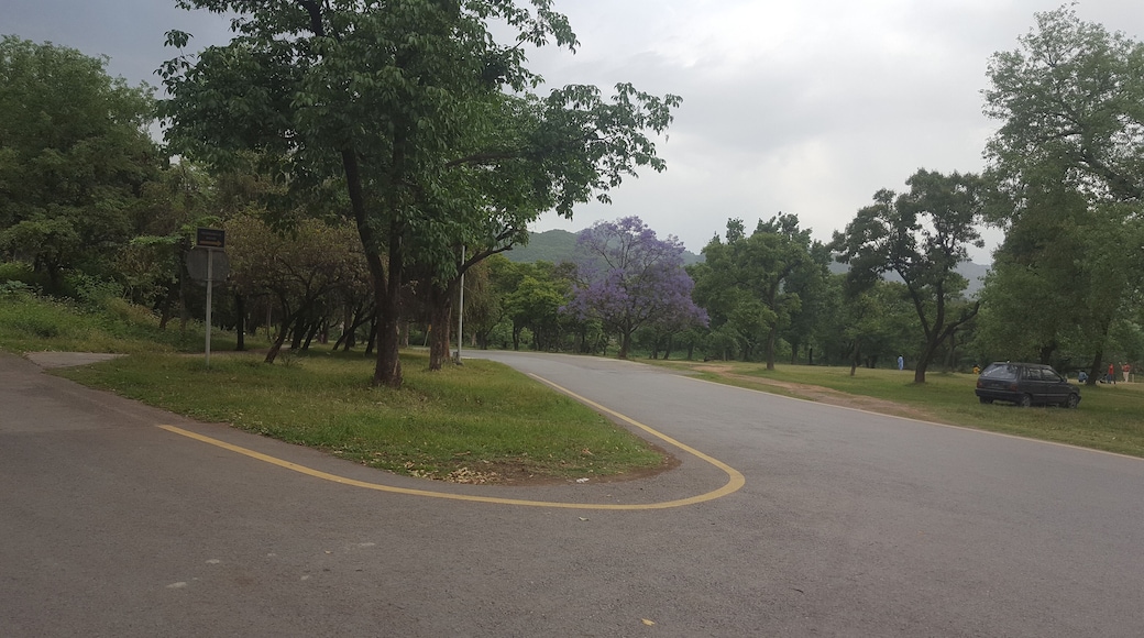 A turn right at the corner of Margala hills. This road leads straight to Trail 3 Margala hills
