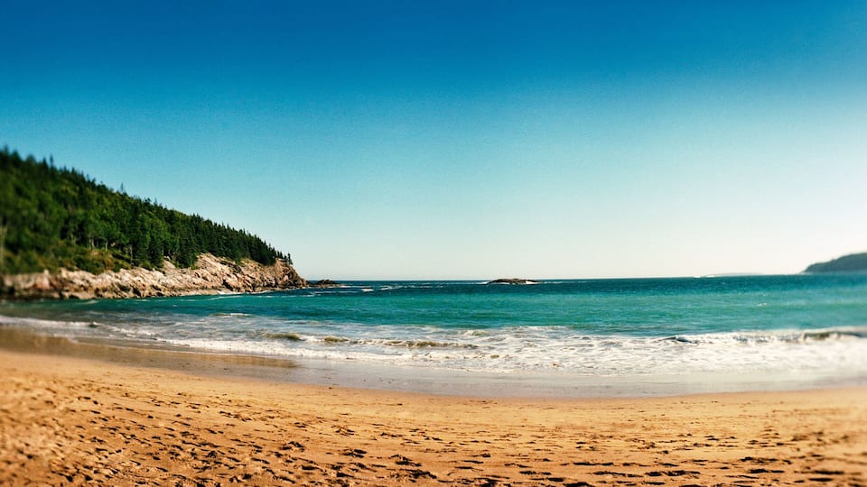 A beach with a forested cliff and calm sea.