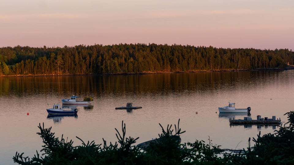 A calm lake with several boats anchored near the shore, surrounded by dense forest.
