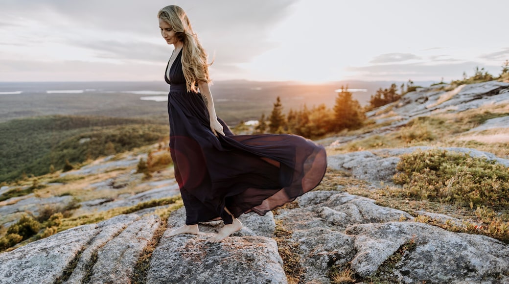 A person standing on a rocky outcrop with a vast landscape in the background.