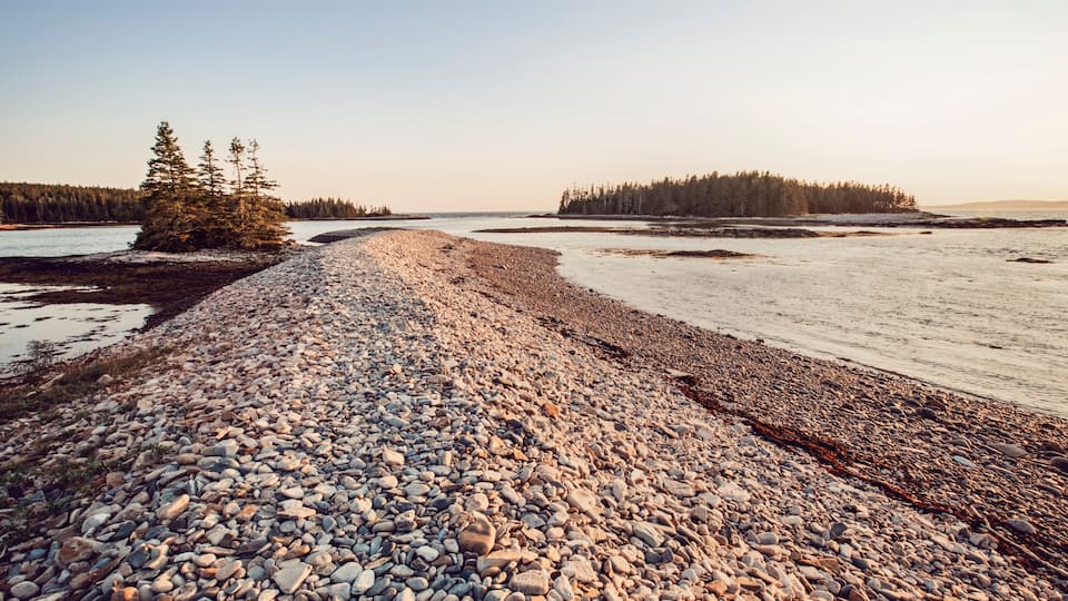 A pebbly shoreline with a small island of trees and a distant forest.