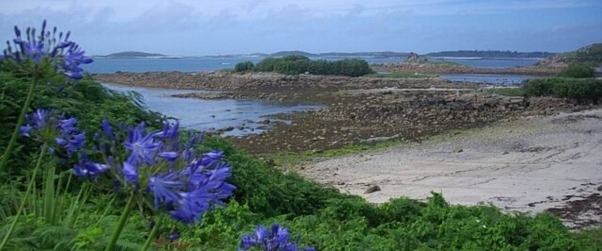 Newford Island, Porthloo, St. Mary's The island is connected to St. Mary's for much of the tide cycle. Taken from the steps leading up to Harry's Walls.
