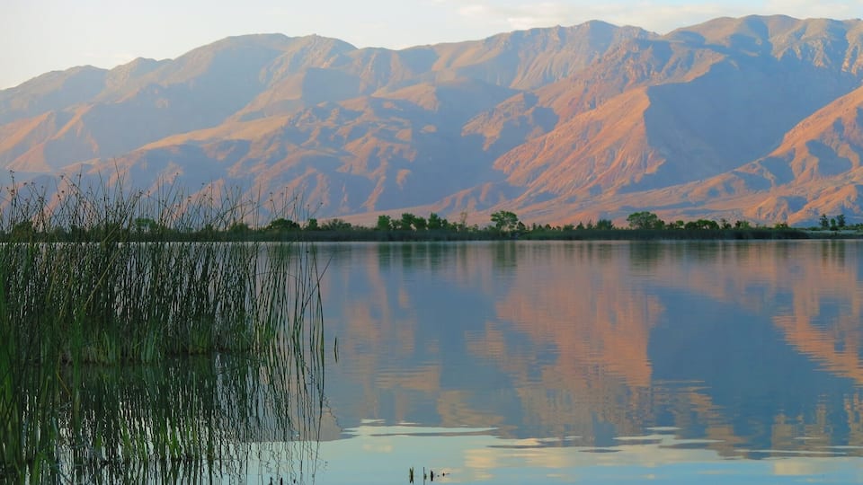 A calm lake with reflections of mountains and sparse vegetation.