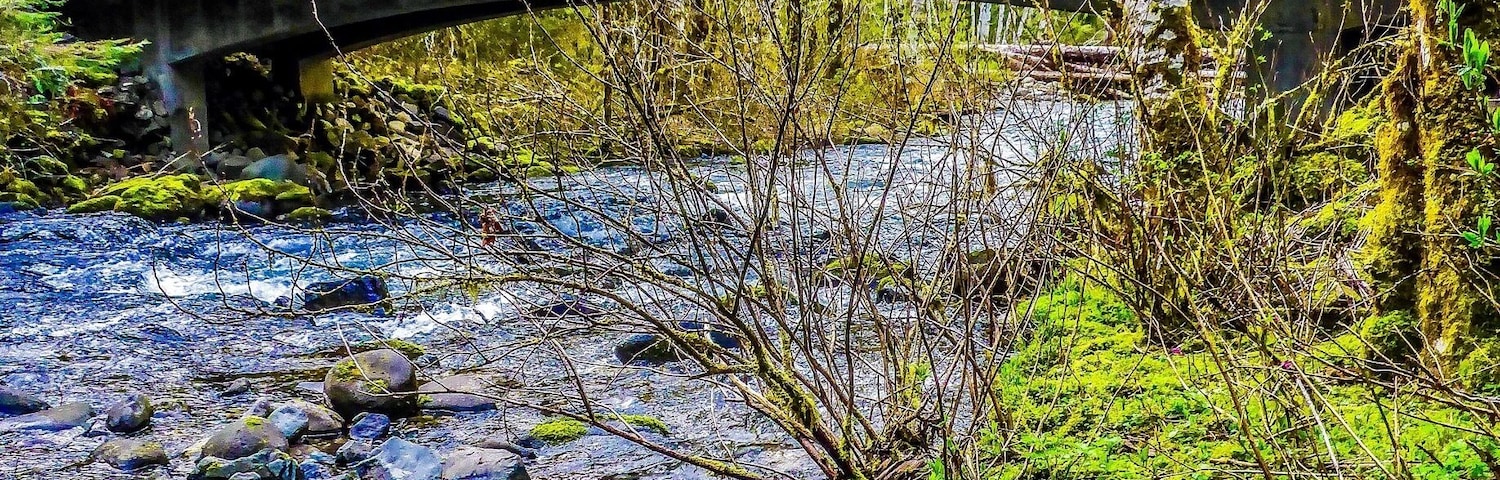 Bridge at Still Creek Road