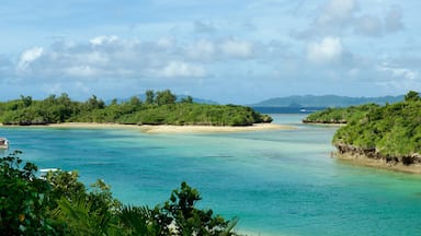 Uma ilha tropical com águas turquesa cristalinas, praias de areia e vegetação exuberante.