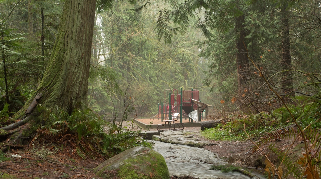 A small stream of water winding through the woods and leading out to a playground at Wildwood Park in Puyallup, Washington.