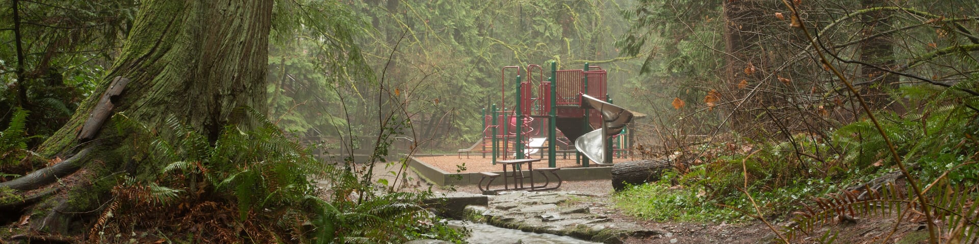 A small stream of water winding through the woods and leading out to a playground at Wildwood Park in Puyallup, Washington.