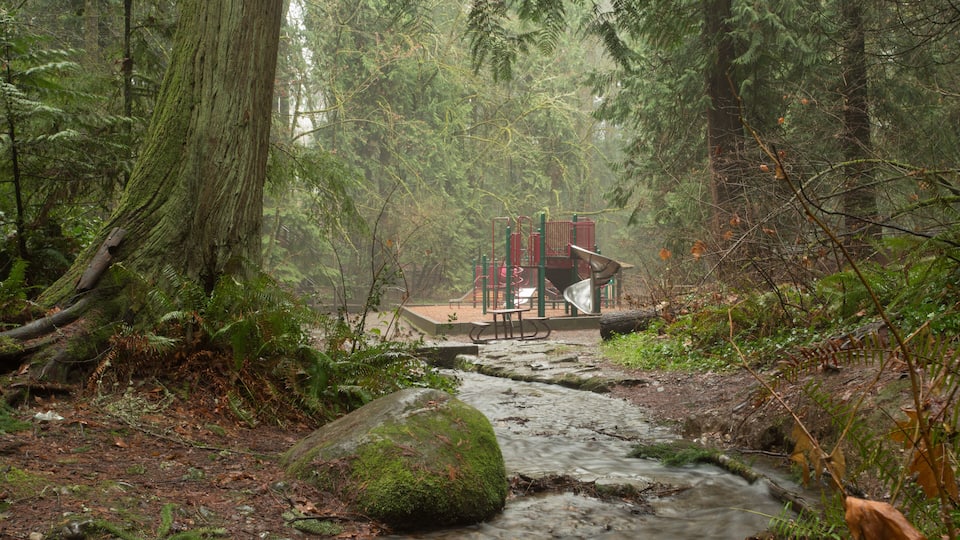 A forested area with a small outdoor seating area near a stream.