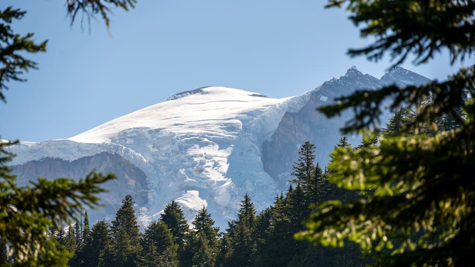 A snow-capped mountain with dense forest at its base.