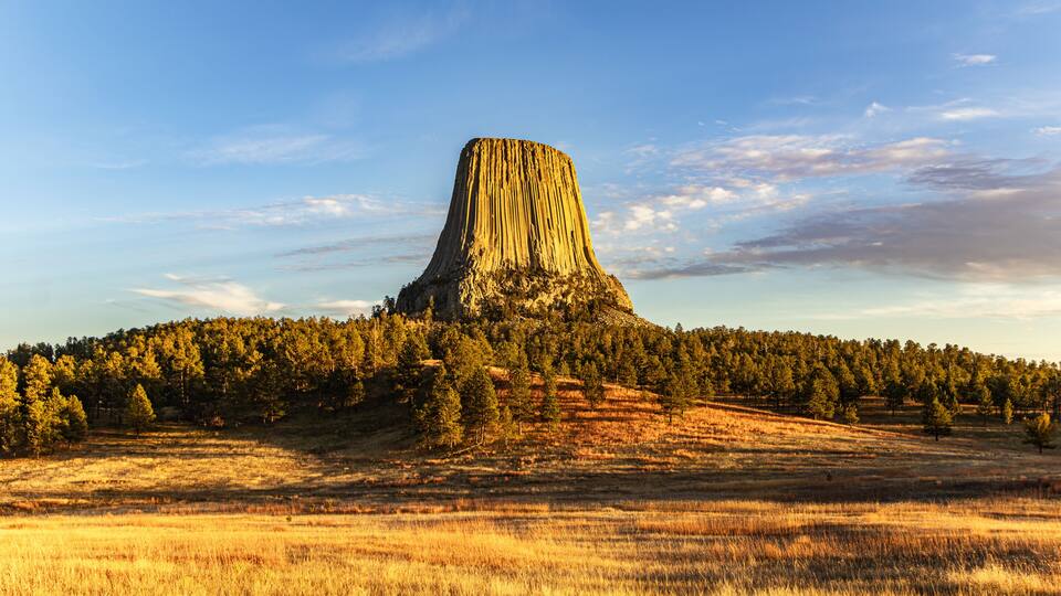 A prominent butte with a forested base, surrounded by a grassy field.