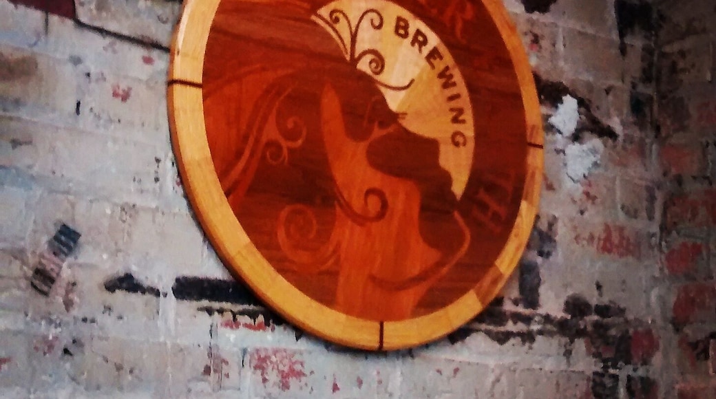 The tour was great! Got to sample some whiskey and gin. Plus, this place has a freaking slide! #localgem #green #beer