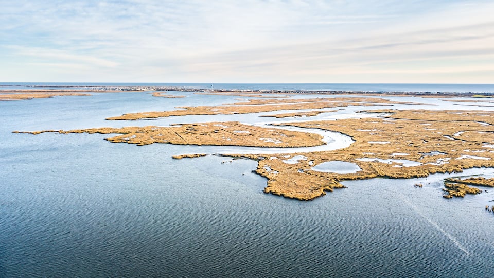 A coastal landscape with a series of sandbanks and tidal pools.