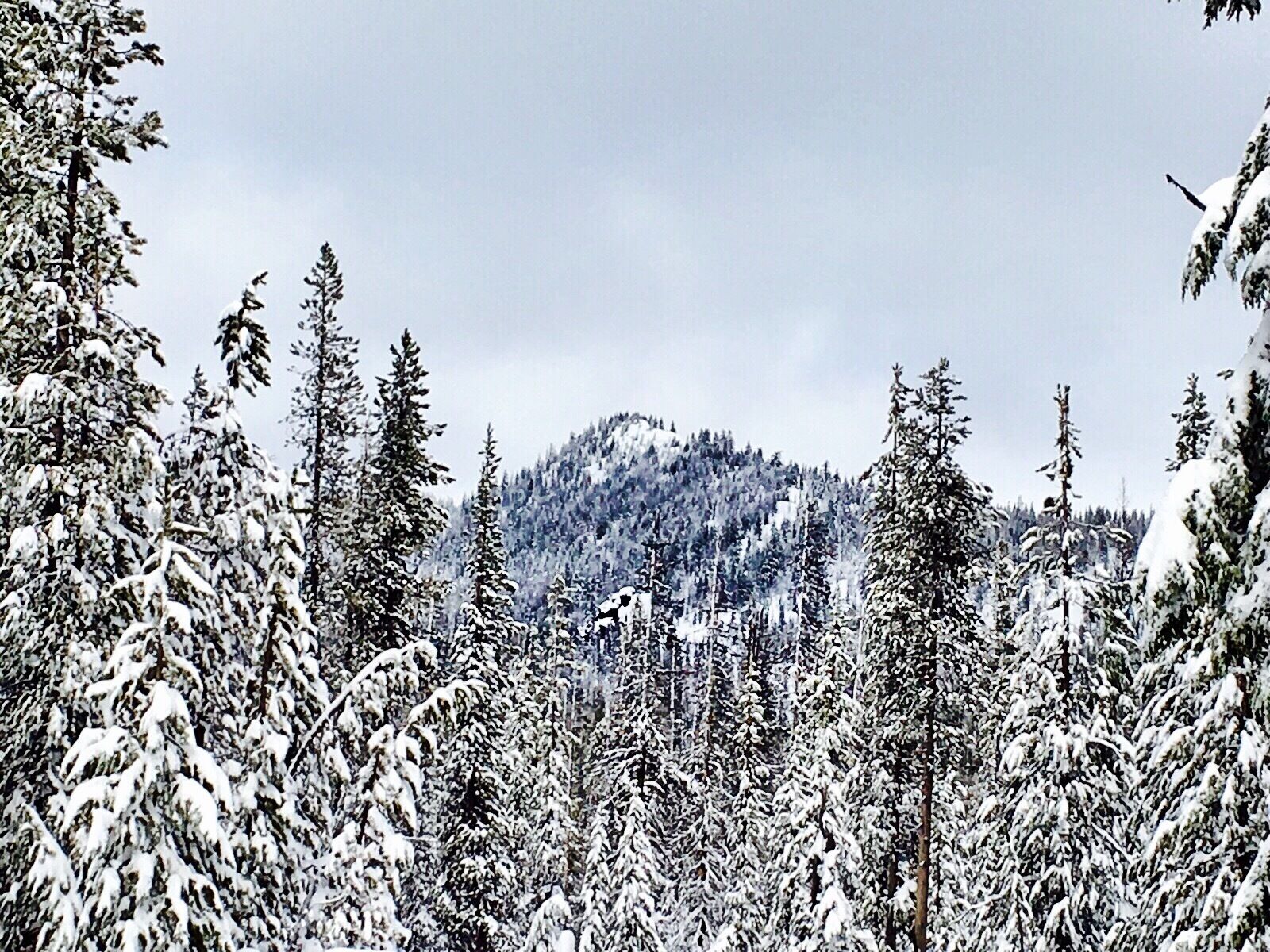 Absolutely stunning mountain day!! #bachelor #pnw #oregon