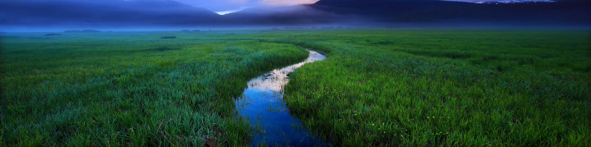 A river winding through a lush green field with mountains in the background.