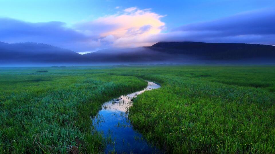A stream in the meadow north of Sparks Lake in the Cascade Lakes region of Central Oregon.
